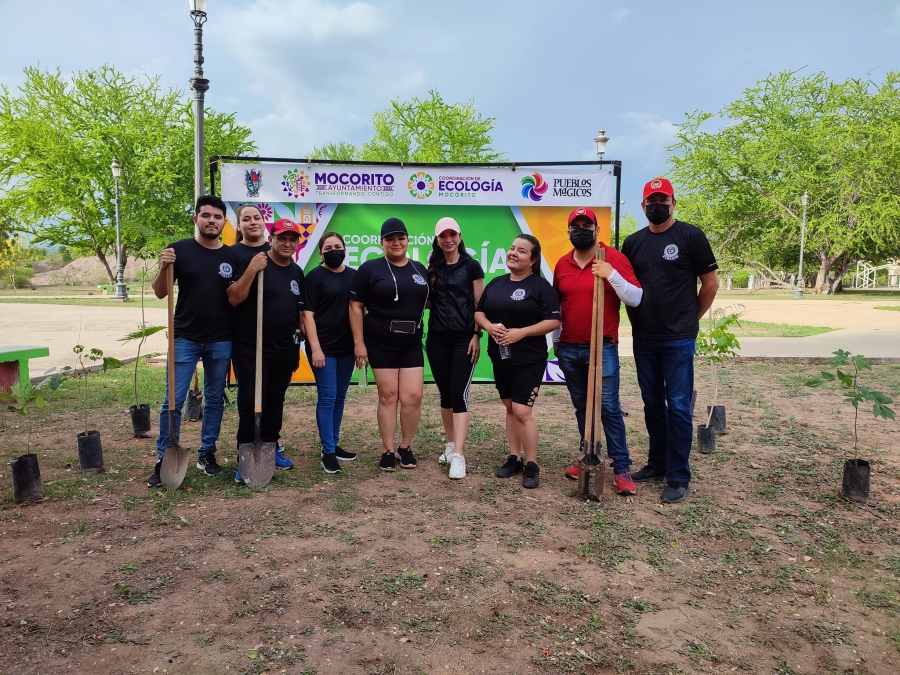 GRAN JORNADA DE ARBOLIZACIÓN.